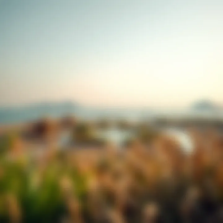 Serene landscapes of Al Hamra Falcon Island highlighting its natural surroundings