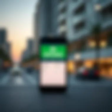 Mobile application displaying DEWA bill payment process