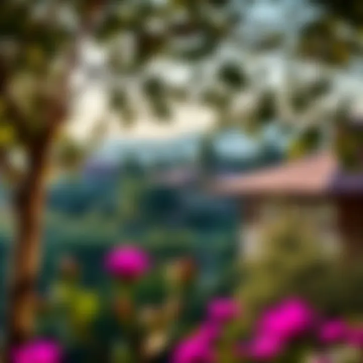 Scenic view of Discovery Gardens community with lush greenery