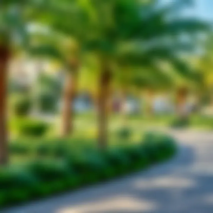 Community park in حي الياسمين with lush greenery