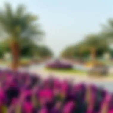 Green Spaces and Community Parks in Khalidiya Vibrant community parks in Khalidiya