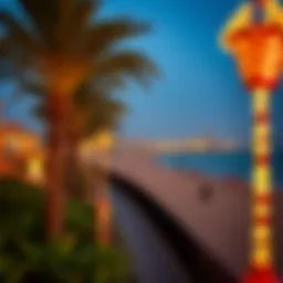 Panoramic view of La Mer Beach showcasing the vibrant atmosphere