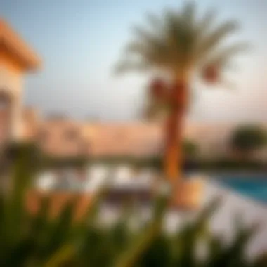 Outdoor Leisure Area at a Villa in Al Quoz Outdoor leisure area at a villa in Al Quoz