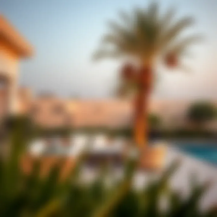 Outdoor Leisure Area at a Villa in Al Quoz Outdoor leisure area at a villa in Al Quoz