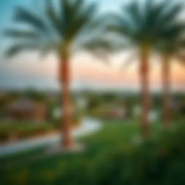 A picturesque view of Silicon Oasis park.