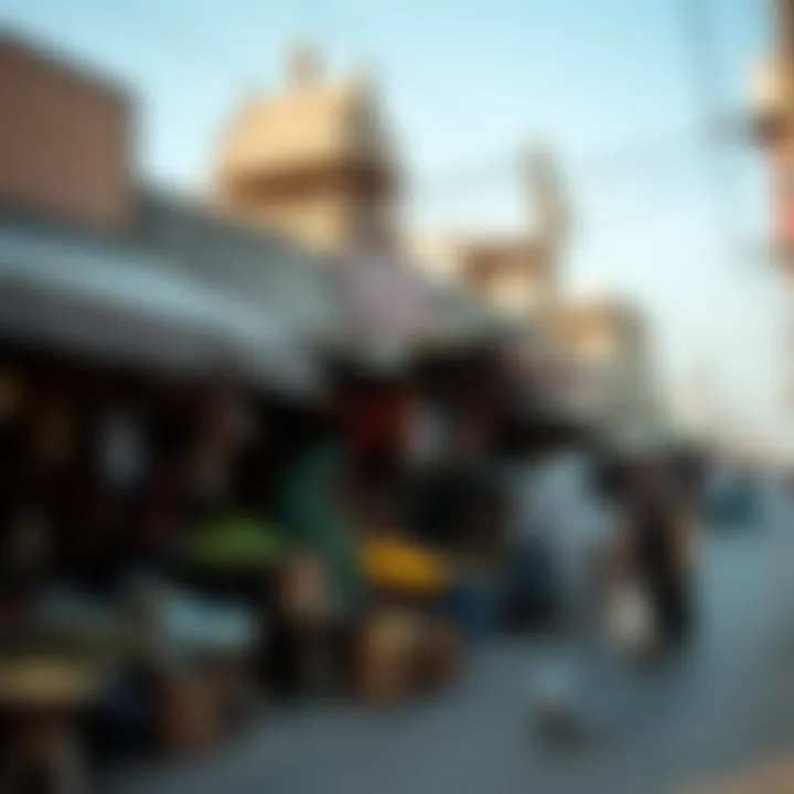 Cultural diversity represented through local markets in Sonapur