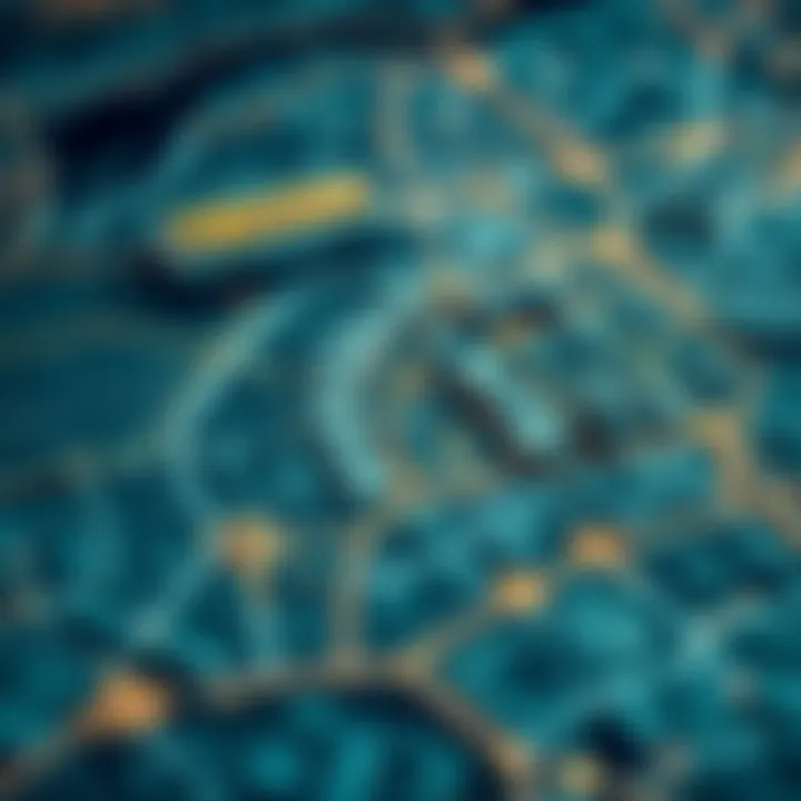 Future Development Map of TECOM Strategic map highlighting future development plans in TECOM