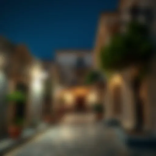 Traditional architecture along the historic street