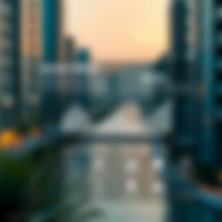 Investment Trends and Opportunities on Reem Island Infographic detailing investment trends and opportunities on Reem Island