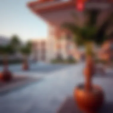 Community Amenities in Zayed Housing Community amenities and facilities within Zayed Housing