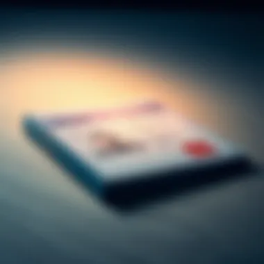 Digital representation of a visa document