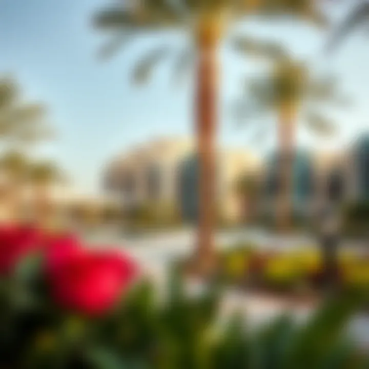 Community Living at Serena Dubai Vibrant community spaces within Serena Dubai including parks and recreational areas