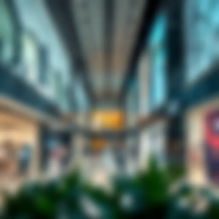 Diverse array of retail shops within a contemporary Dubai mall representing the evolving retail landscape