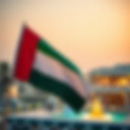 UAE flag waving during national celebrations