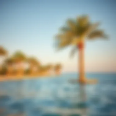 Abu Dhabi Beach: A Relaxing Escape A serene beach in Abu Dhabi with clear waters and palm trees