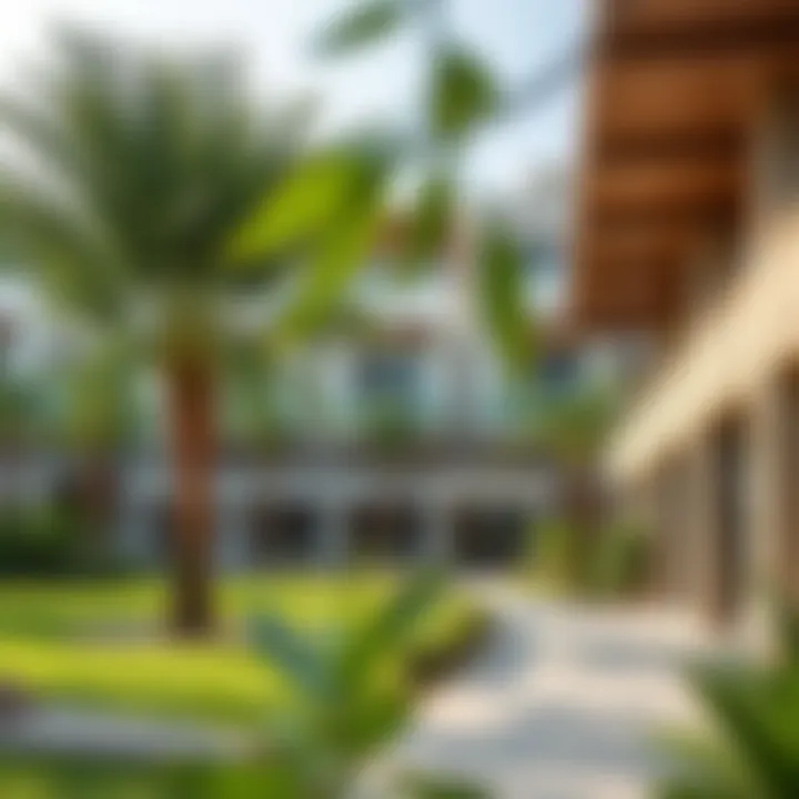 Residential community in Dubai Silicon Oasis with green spaces