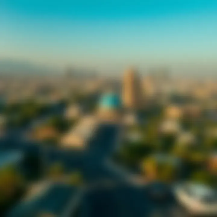 Panoramic view of the Oasis Center's surroundings illustrating urban growth